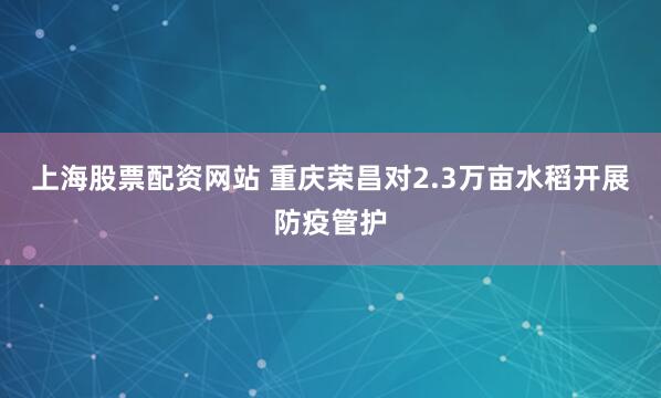 上海股票配资网站 重庆荣昌对2.3万亩水稻开展防疫管护